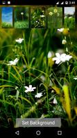 Grass Background Wallpaper Ekran Görüntüsü 1
