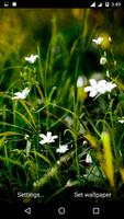 Grass Background Wallpaper Ekran Görüntüsü 2