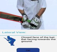 Backlift Cricket Analyser capture d'écran 3