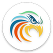 Coloryzer