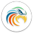 Coloryzer APK