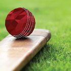 Cricket Scores icon