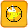 Duck Hunt