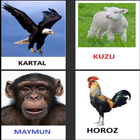 4 yas egitici oyunlar hayvan simgesi