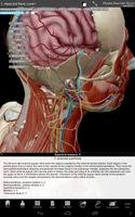 پوستر Human Anatomy Atlas SP