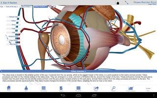 Human Anatomy Atlas SP captura de pantalla 2