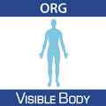Anatomy & Physiology 17 (Org.)