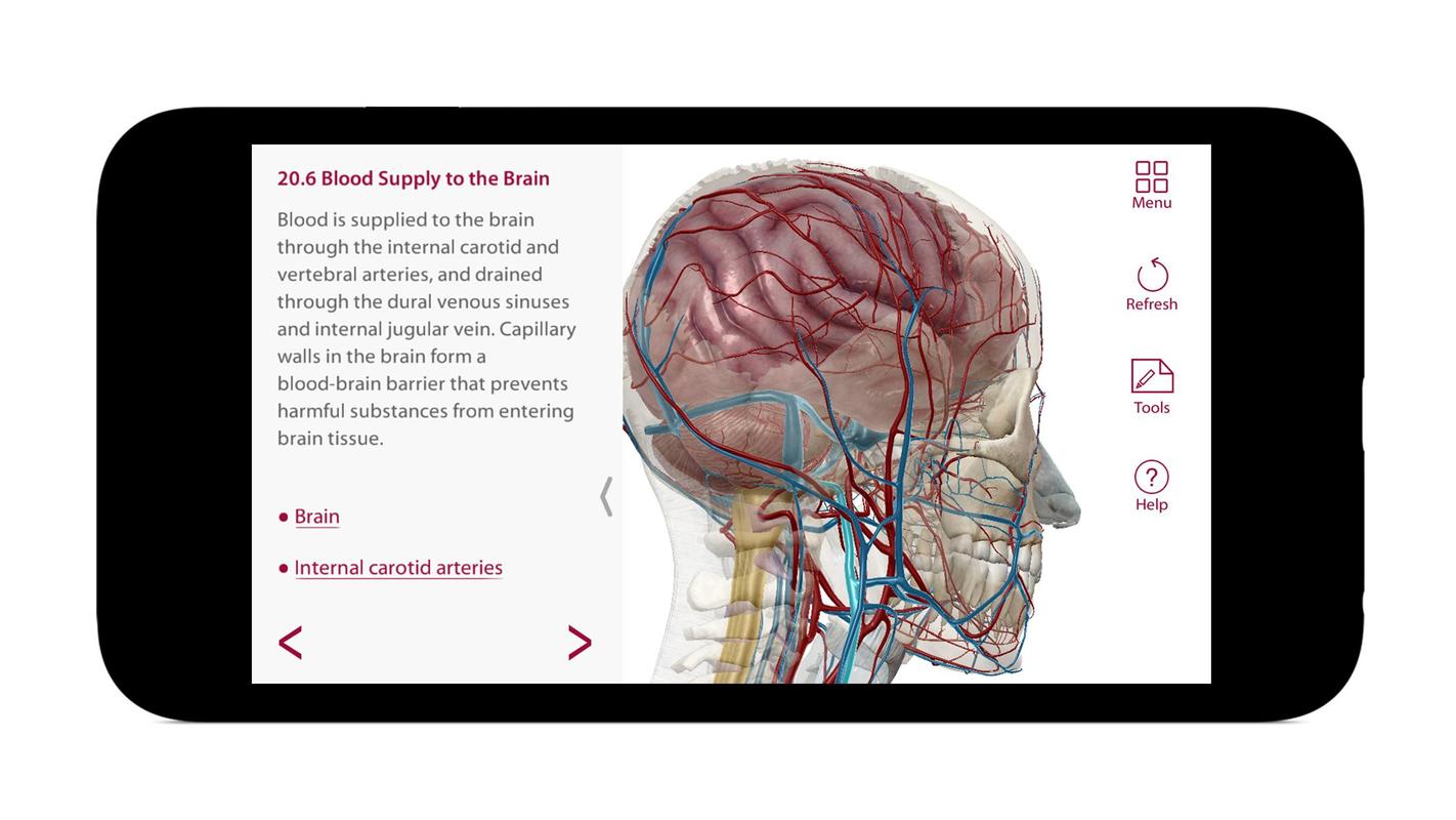 Visible Body Human Anatomy Atlas Apk Free Download لم يسبق له مثيل