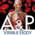 Anatomy & Physiology