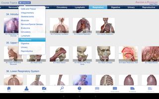 Anatomy & Physiology Affiche