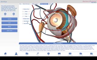 Anatomy & Physiology captura de pantalla 1