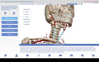 Anatomy & Physiology captura de pantalla 2