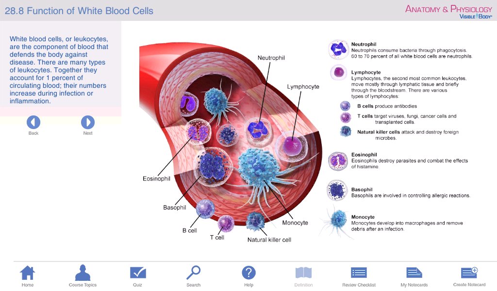 Anatomy & Physiology APK for Android Download