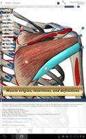 Muscle Premium for Springer Poster