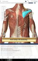 Muscle Premium for Springer تصوير الشاشة 1