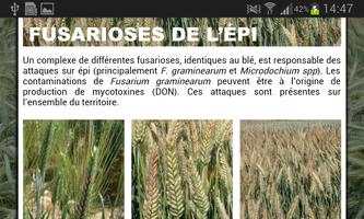 RGT Triticale screenshot 2