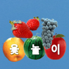 Fruit Yuk Play icône