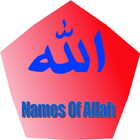 Names Of  Almighty Allah ícone