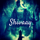Shivaay Movie Songs Lyrics আইকন