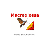Macroglossa icône