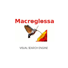 Macroglossa icon