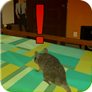 APK Rat Life Simulator