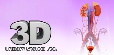 Urinary System Pro.