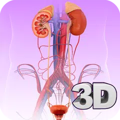 Urinary System Pro. APK download