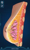 Breast Anatomy ภาพหน้าจอ 2