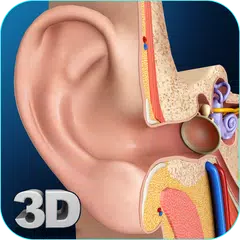 My Ear Anatomy アプリダウンロード