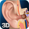 My Ear Anatomy APK
