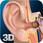My Ear Anatomy-icoon