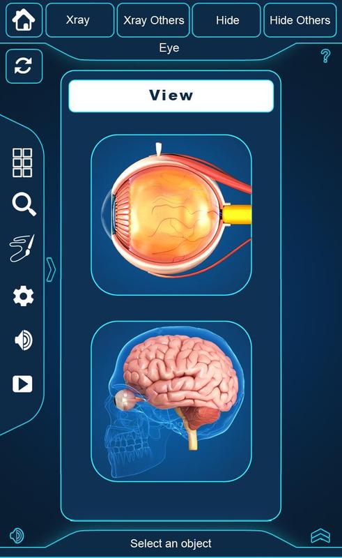 My Eye Anatomy for Android - APK Download