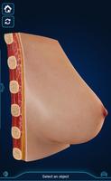 Breast Anatomy Pro. Ekran Görüntüsü 2