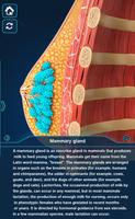 Breast Anatomy Pro. Ekran Görüntüsü 3