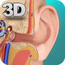 Ear Anatomy Pro. APK