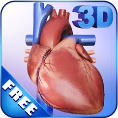 My Heart Anatomy APK 下載