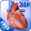 My Heart Anatomy APK