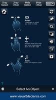 My Heart Anatomy الملصق