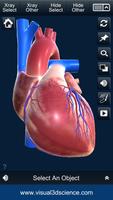My Heart Anatomy تصوير الشاشة 1