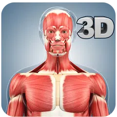 Muscle Anatomy Pro. アプリダウンロード