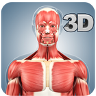 Muscle Anatomy Pro. 图标