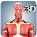 Muscle Anatomy Pro. aplikacja