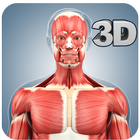 Muscle Anatomy Pro. 圖標