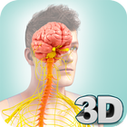 Nervous System Anatomy Pro. أيقونة