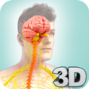 APK Nervous System Anatomy Pro.