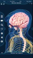 Nervous System Anatomy Pro. captura de pantalla 1