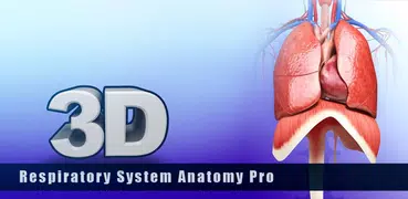 Respiratory System Anatomy Pro