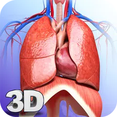Respiratory System Anatomy Pro APK Herunterladen