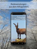 Rumantsch Vallader Redewendung Poster